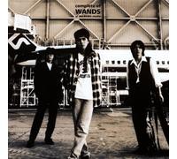 Complete of Wands at the Being [Import allemand]