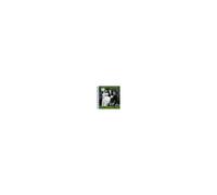 Complete Piano Music Volume 2, The - Last Summer (Hojer)