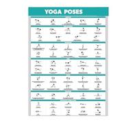 Complete Yoga Asana Chart for Workout Motivation, Durable Laminated Poster for Gym, Studio & Personal Fitness Space(Framed,12x18inch(30x45cm))