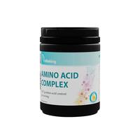 Complexe dacides aminés Vitaking (300 g, citron)