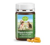 Complexe de vitamine B pour chiens et chats (120 capsules)