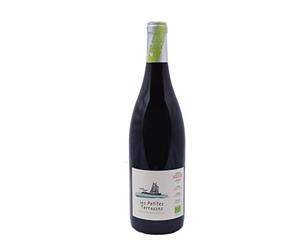 Complices de Loire Bio Saint Nicolas de Bourgueil les Petites Terrasses Vin Rouge - 75cl x 6 Bouteilles