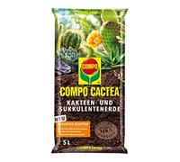 Compo 1122102004 cactea Cactus et succulente Terre, 5 l | Substrat de culture pour toutes les espèces de cactus et plantes à feuilles épaisses, terre pour cactus avec drainage optimal