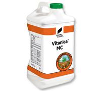 COMPO EXPERT Vitanica MC 10 l engrais liquide, greens, tees, fairways et terrains de sport