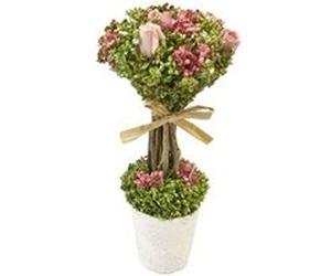 compo fleurs séchées roses tige pot 18x8cm rose - hobi po1049ro Rose G