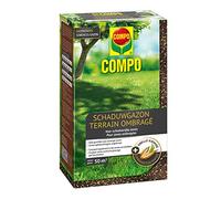 COMPO Graines de Gazon Pelouse Ombrage pour Zones Ombrées Verte Contre Les Déguisements d'oiseaux, Germination Rapide, pour 50 m², 1 kg