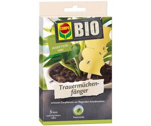 Compo Piège Adhésif pour Sciarides BIO - 5 pièces