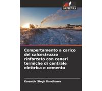 Comportamento a carico del calcestruzzo rinforzato con ceneri termiche di centrale elettrica e cemento