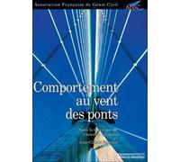 Comportement Au Vent Des Ponts