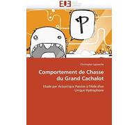 Comportement De Chasse Du Grand Cachalot