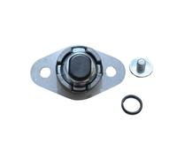 Composants du tendeur de chaîne de distribution compatibles avec HS250 250cc P013000145300000