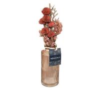 Composition de Fleurs Séchées Vase en Verre H 28 cm - Atmosphera