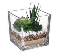 Atmosphera Créateur d'intérieur - Composition Plante Artificielle 15cm Transparent