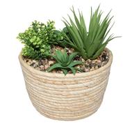 Créateur d'intérieur - Plante Artificielle "Composition" 18cm Naturel & Vert