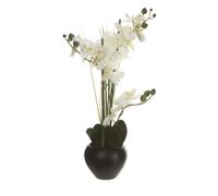 Atmosphera Orchidée artificielle avec vase en céramique - 50 x 28 x 53 cm - Noir