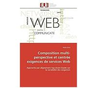 Composition Multi-Perspective Et Centrée Exigences De Services Web
