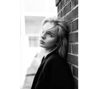 Compound and Conquer: The Dividend Reinvestment Strategy for Building Wealth