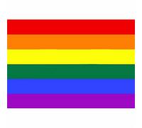 Comprend un drapeau Progress Pride - Drapeau arc-en- + avec des couleurs trans et BIPOC | Polyester, résistant à la lumière, parfait pour les événements en plein air, les fêtes et la