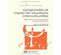 Comprendre Et Traiter Les Situations Interculturelles - Approches Psychodynamiques Et Psychanalytiques