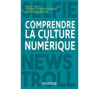 Comprendre la culture numérique - Pauline Escande-Gauquié - Dunod - broché - Etude