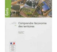 Comprendre l'économie des territoires - Nicolas Gillio - Lavoisier Industrie - broché - Etude