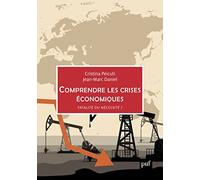 Comprendre les crises économiques: Fatalité ou nécessité ?