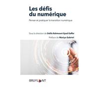 Comprendre Les Défis Du Numérique - Penser Et Pratiquer La Transition Numérique