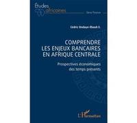Comprendre les enjeux bancaires en Afrique centrale Prospectives économiques des temps présents - Cédric Ondaye-Ebauh - L'harmattan - broché - Etude