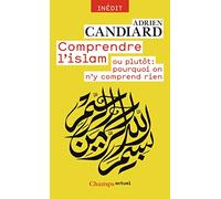 Comprendre l'Islam - ou plutôt : pourquoi on n'y comprend rien