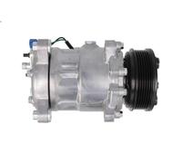 Compresseur, climatisatio DELPHI TSP0159243 pour VW POLO (6N2) 1 1999-2001
