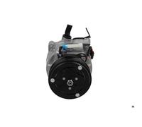 Compresseur climatisation BV PSH 090.505.066.130