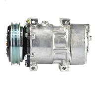 Compresseur, climatisation MAHLE ACP 174 000S pour KERAX 11.123 1998-2006