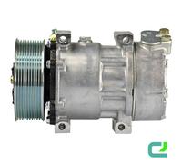 Compresseur Climatisation MAHLE pour de Scania