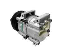 Compresseur D'Air Conditionné CC1032SS 813606 94BW19D629DB 1035433 8FK351113131