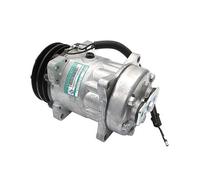 Compresseur D'Air Conditionné CC1298SS 80450805 4434 89508380 3405689R2