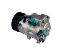 Compresseur D'Air Conditionné CC999DP 977012B201 977012B200
