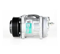 Compresseur D'Air Kühlmittel-verdichtung 24 V Ø 119 MM MAHLE pour U. A. DAF Lf