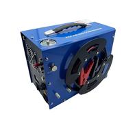 Compresseur d'air supplémentaire 300bar 4500Psi 30Mpa pompe PCP | pompe de voiture compresseur pneu de moto 12V 110V 220V(12V add 220V)