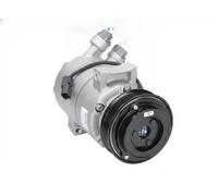BV PSH 090.595.046.020 Compresseur, climatisation pour FORD