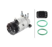 Compresseur De Climatisation 12 V Ø 108 mm HELLA 8FK 366 203-271