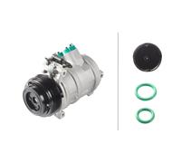 Compresseur De Climatisation 12 V Ø 110 mm HELLA IAM 8FK 366 203-251 Pour BMW X5