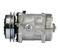 Compresseur De Climatisation 24 V Ø 133 Mm MAHLE Pour D'Autres DAF 95