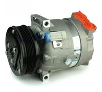 Delphi Compresseur de clim TSP0155145 V5 PAG 150 - Compatible OPEL, SAAB, VAUXHALL