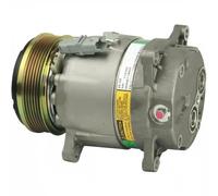 Delphi Compresseur de climatisation TSP0155307 PAG 150 pour PEUGEOT 406, CITROËN C5 II