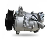 Delphi Compresseur de climatisation CS20502 6ZSE12 PAG 46 Compatible Renault Mégane III / Scénic III