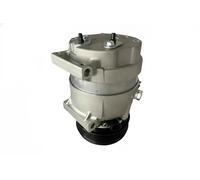 DELPHI CS20517 Compresseur de clim