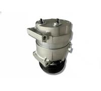 DELPHI CS20561 Compresseur de climatisation