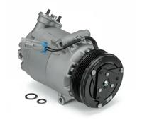 Delphi Compresseur de climatisation TSP0155142 PAG 46 pour Opel Astra G Classic
