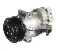 Compresseur de climatisation PAG 46 TSP0155987 DELPHI pour OPEL CHEVROLET