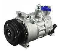 Delphi Compresseur de climatisation TSP0155999 PAG 46 pour VW SKODA AUDI SEAT